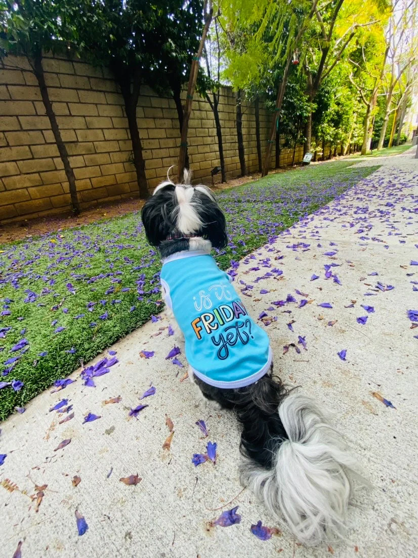 Parisian Pet 'Is It Friday Yet?' Embroidered Dog T-Shirt – Trendy Weekend Dog Apparel for Dogs & Cats, Light Blue - Image 3