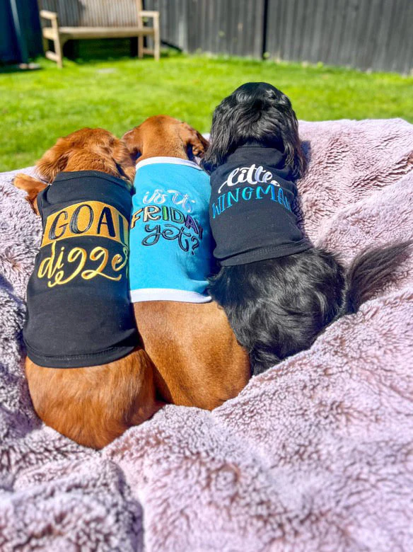 Parisian Pet 'Is It Friday Yet?' Embroidered Dog T-Shirt – Trendy Weekend Dog Apparel for Dogs & Cats, Light Blue - Image 4