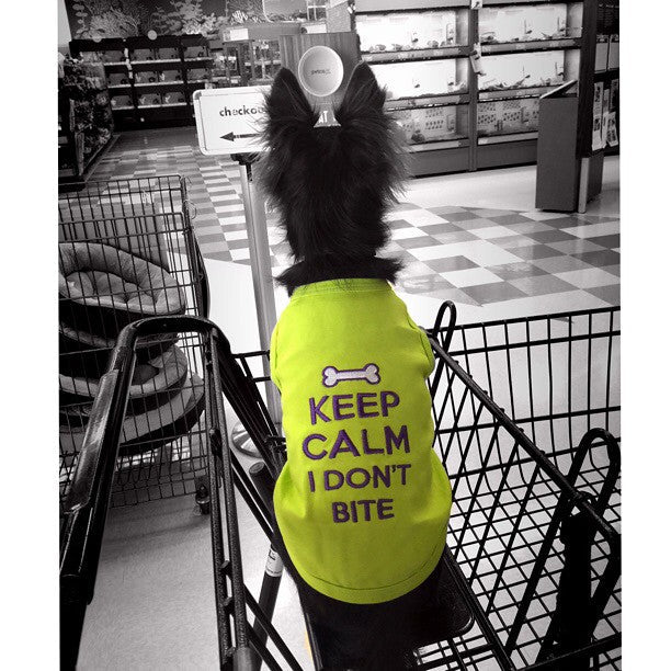Parisian Pet 'Keep Calm' T-Shirt for Dogs & Cats – Fun & Relaxing Pet Apparel, Light Green - Image 4