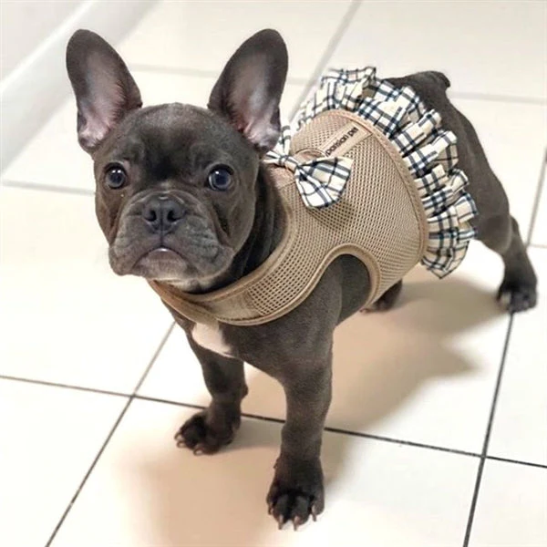Parisian Pet ' Khaki Plaid' Harness Dress for Dogs & Cats – Fashionable and Comfortable Plaid Dog Harness Dress, Adjustable Fit - Image 2