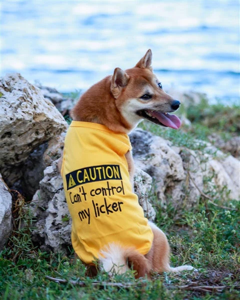 Parisian Pet 'Licker' Novelty Dog Apparel – Fun Embroidered Pet Wear for Dogs & Cats, Yellow - Image 3