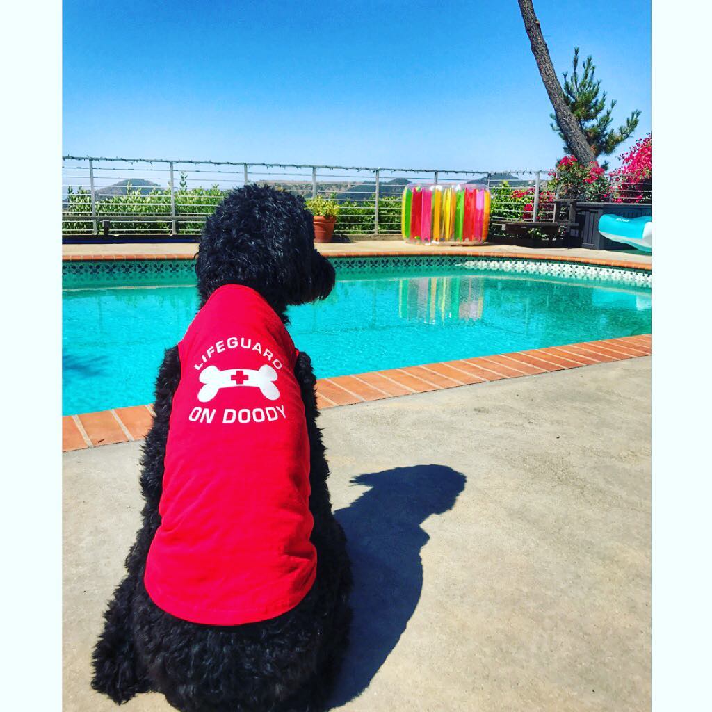Parisian Pet 'Lifeguard on Doody' Dog & Cat T-Shirt – Funny Cotton Shirt, Stylish & Comfortable Pet Apparel – Red - Image 5