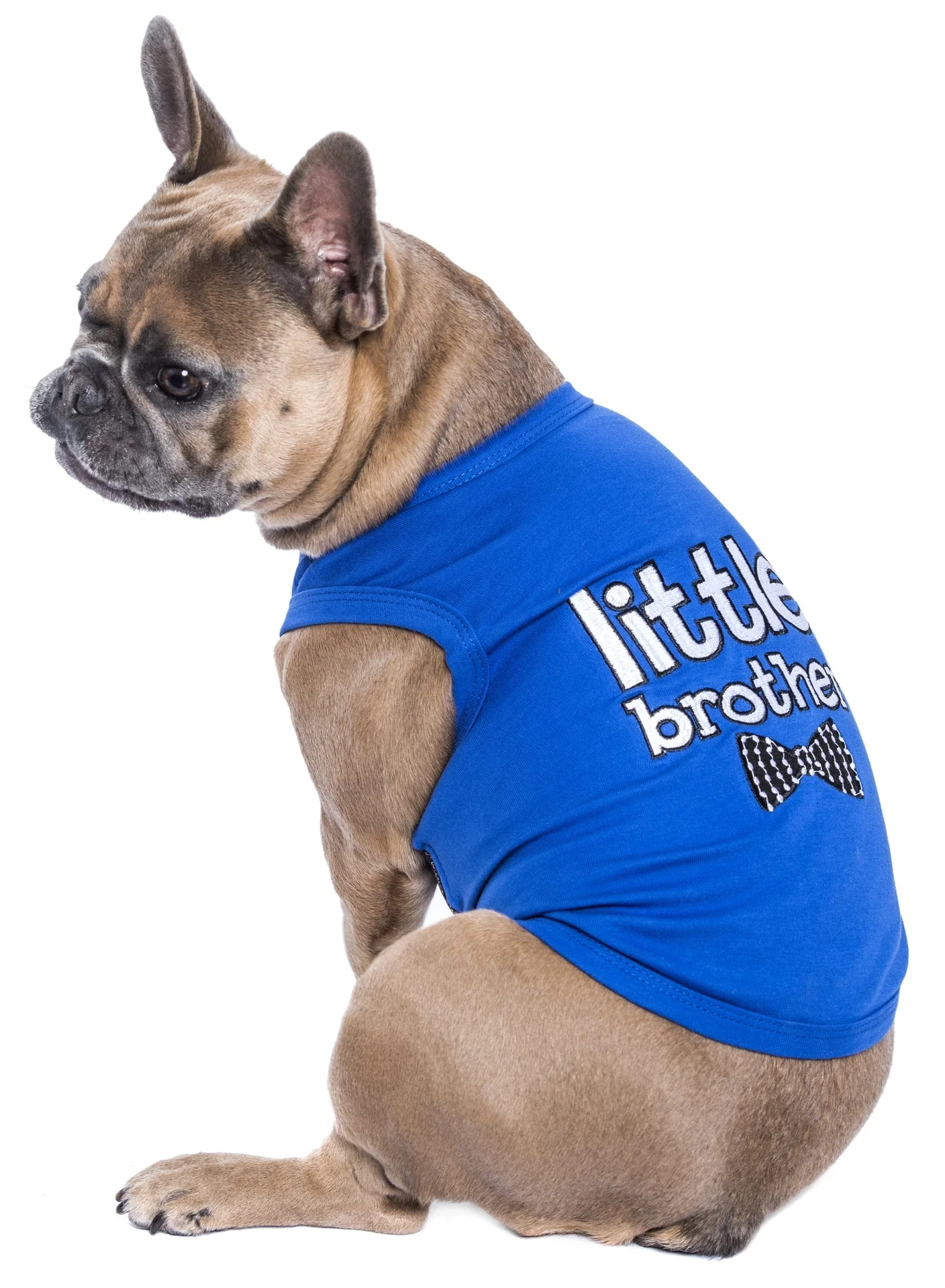 Parisian Pet 'Little Brother' Dog Shirt - Dog Sibling Shirt for Dogs & Cats, Blue - Image 3