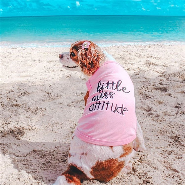 Parisian Pet 'Little Miss Attitude' Pet Shirt - Cute Dog & Cat Shirt, Pink - Image 3
