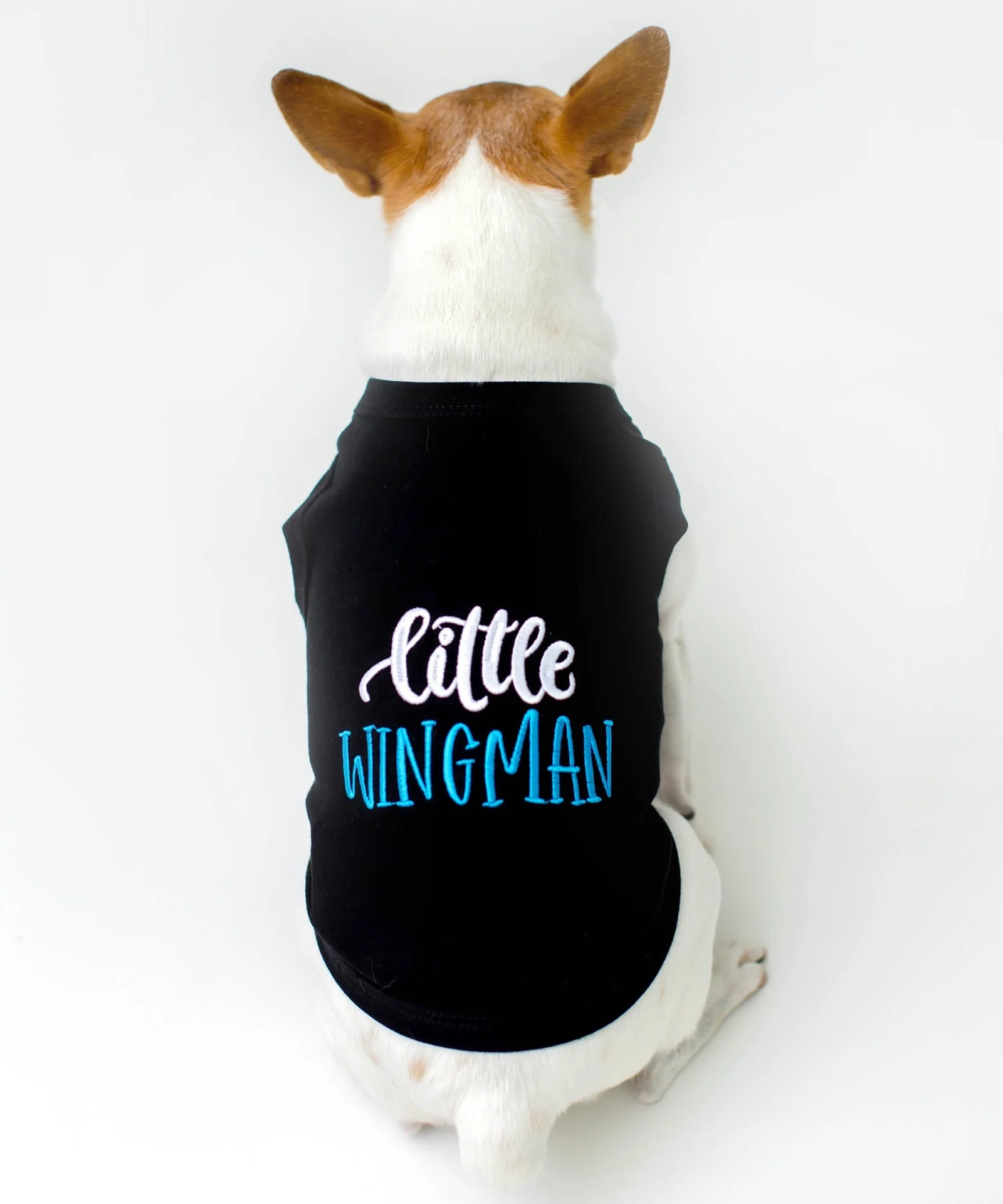 Parisian Pet 'Little Wingman' Winged Dog Shirt – Cool Adventure-Themed Shirt for Dogs & Cats, Black - Image 4
