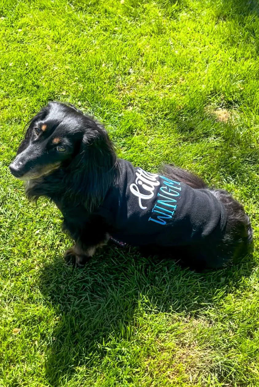 Parisian Pet 'Little Wingman' Winged Dog Shirt – Cool Adventure-Themed Shirt for Dogs & Cats, Black - Image 5