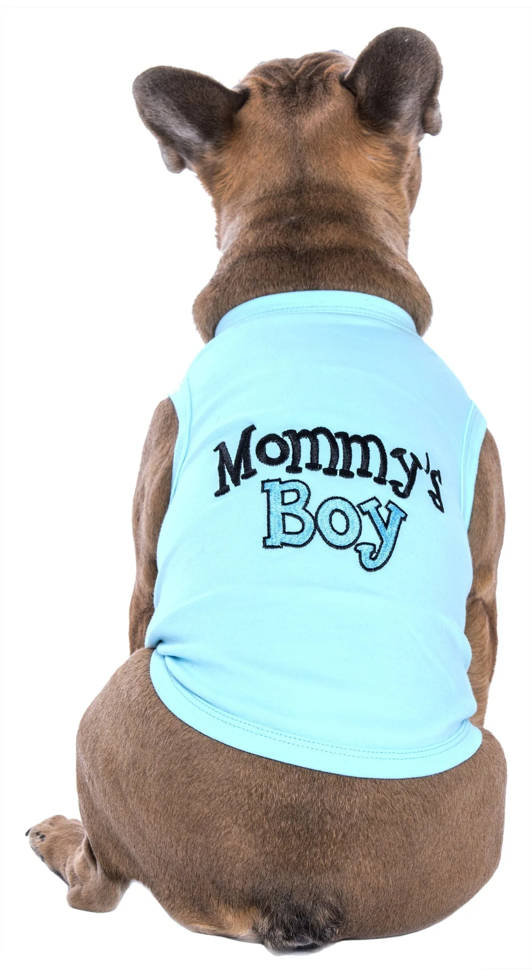 Parisian Pet 'Mommy's Boy' Cotton Dog Apparel – Comfortable T-Shirt for Small Dogs and Cats, Light Blue-Valentine's Day - Image 3