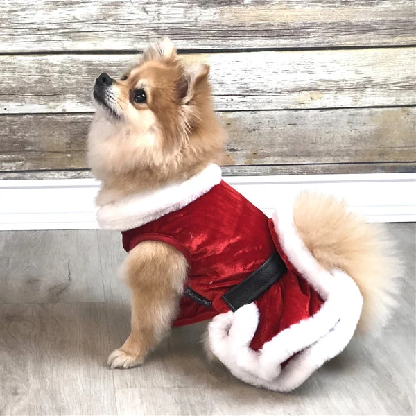 Parisian Pet 'Mrs. Claus Dress' Dog & Cat Shirt – Holiday Pet Dress, Perfect for Christmas – Red - Image 3
