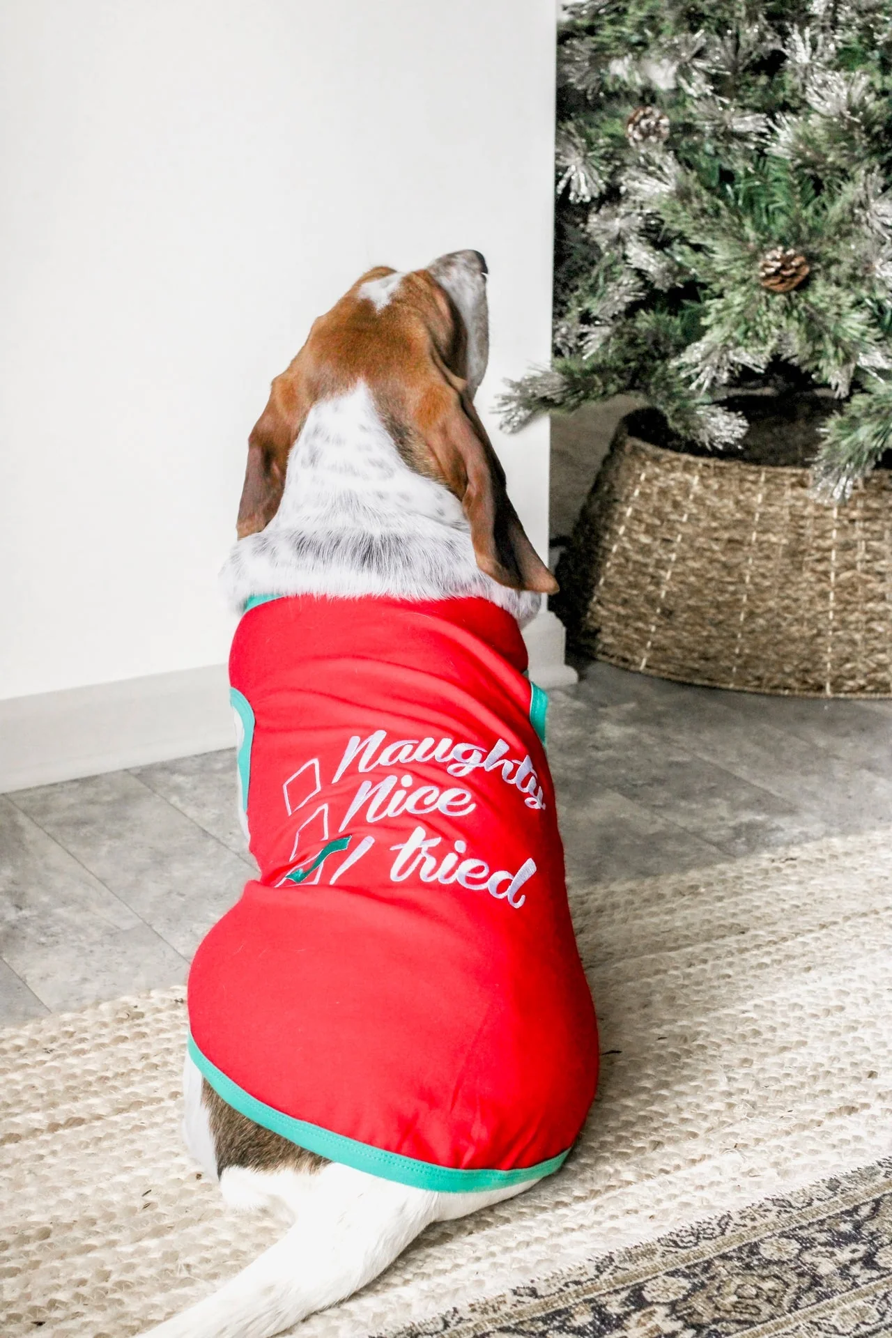 Parisian Pet 'Naughty or Nice' Dog Christmas T-Shirt - Festive Pet Holiday Shirt for Dogs & Cats, Red - Image 5