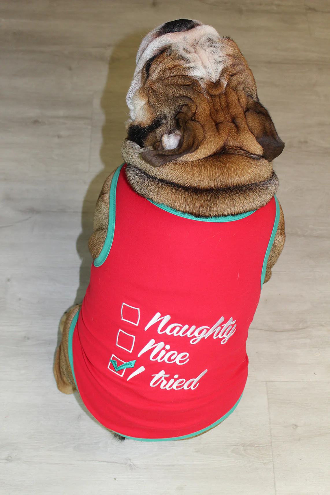 Parisian Pet 'Naughty or Nice' Dog Christmas T-Shirt - Festive Pet Holiday Shirt for Dogs & Cats, Red - Image 6