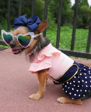 Parisian Pet 'Nautical Dress' for Dogs and Cats, Sleeveless Designer Beach Dress, Comfortable Pet Clothing, Pink & Navy - Image 4