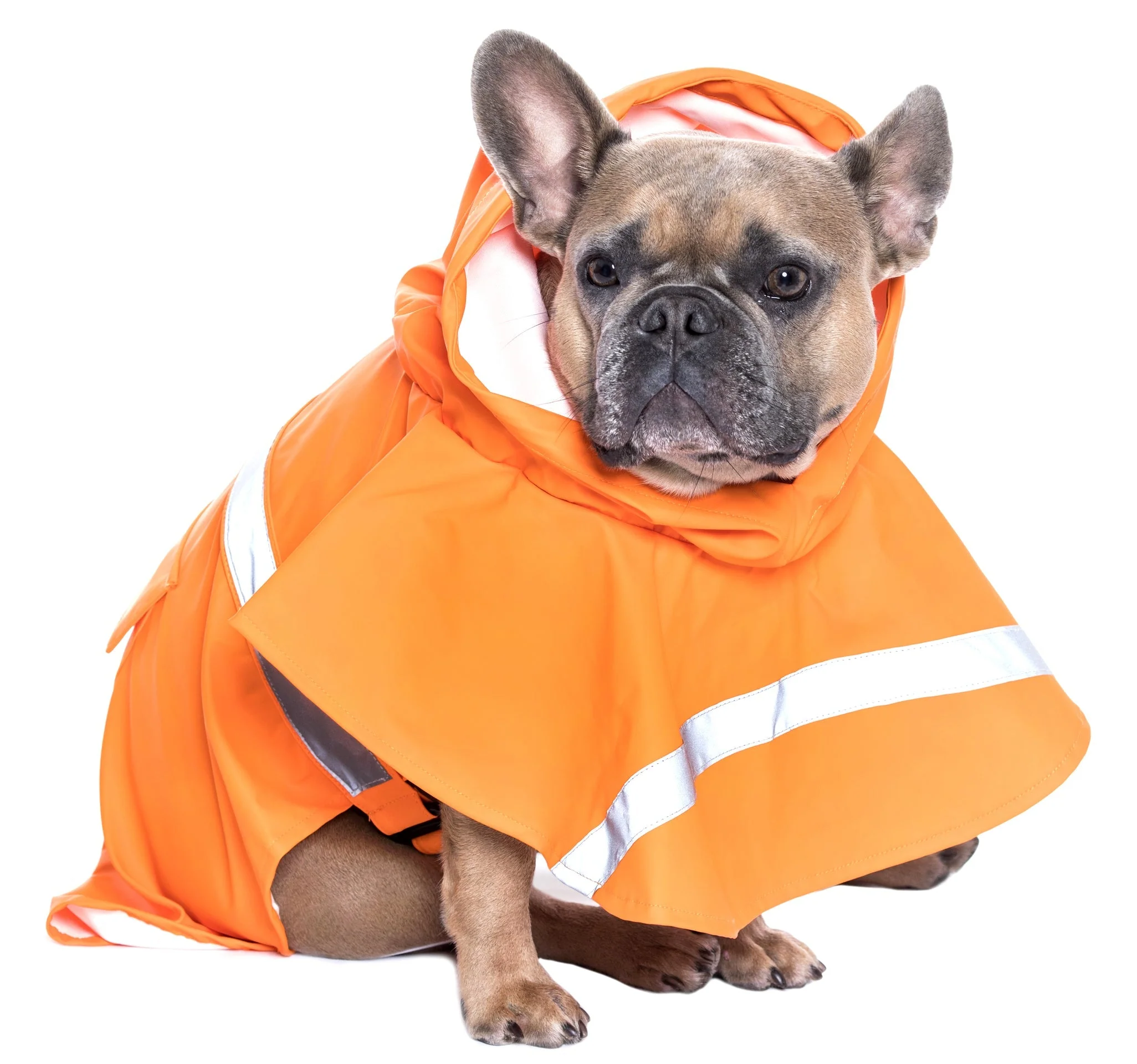 Parisian Pet 'Orange Raincoat' for Dogs & Cats, Waterproof Pet Outerwear, Dog Raincoat for Rain, Pet Rain Protection, Orange - Image 3