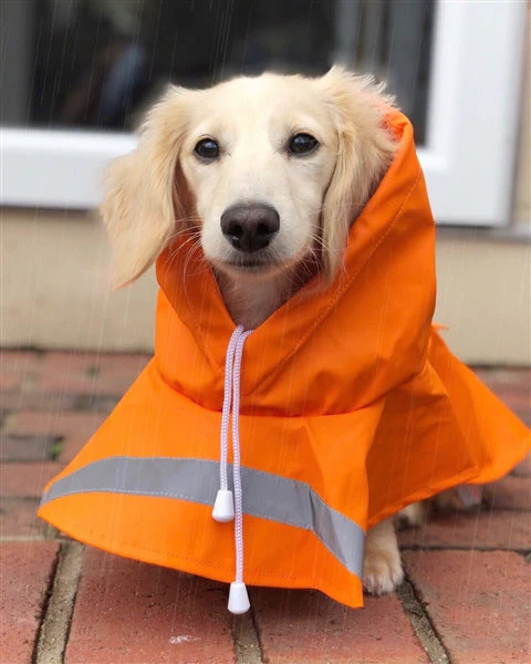 Parisian Pet 'Orange Raincoat' for Dogs & Cats, Waterproof Pet Outerwear, Dog Raincoat for Rain, Pet Rain Protection, Orange - Image 4