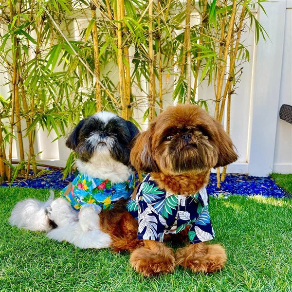 Parisian Pet 'Palm Leaves' Dog & Cat T-Shirt – Trendy Tropical Summer Pet Clothing, Comfortable & Lightweight - Blue & White - Image 4