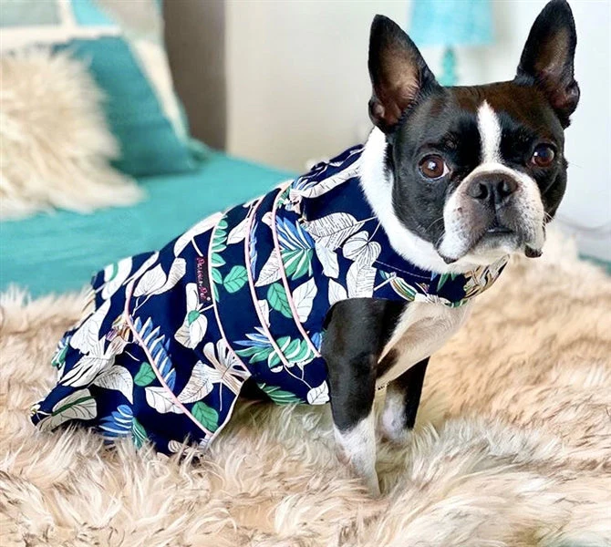 Parisian Pet 'Palm Leaves Dress' Dog & Cat T-Shirt – Comfortable Stylish Summer Dog Dress – Green, White - Image 3