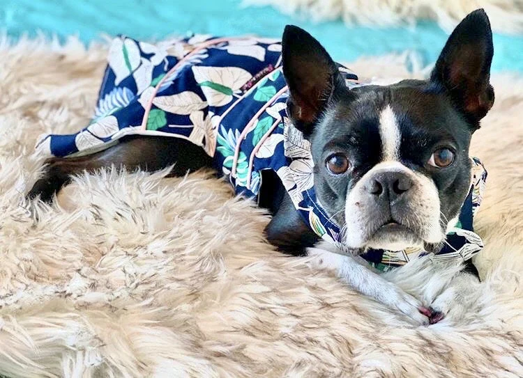 Parisian Pet 'Palm Leaves Dress' Dog & Cat T-Shirt – Comfortable Stylish Summer Dog Dress – Green, White - Image 4