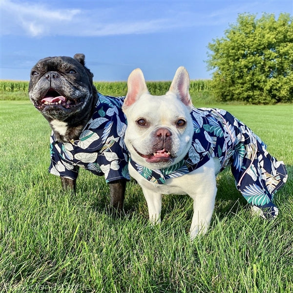 Parisian Pet 'Palm Leaves Dress' Dog & Cat T-Shirt – Comfortable Stylish Summer Dog Dress – Green, White - Image 5