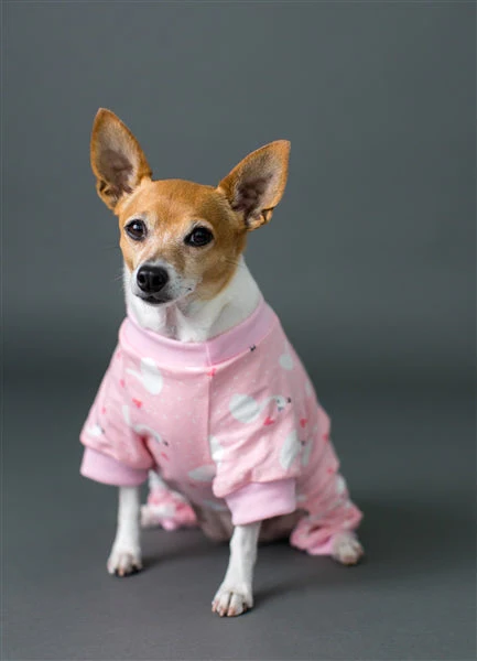 Parisian Pet 'Pink Swan' Pajama for Dogs & Cats, Luxury Pet Sleepwear, Cozy Dog Pajama Set-Valentine's Day - Image 5