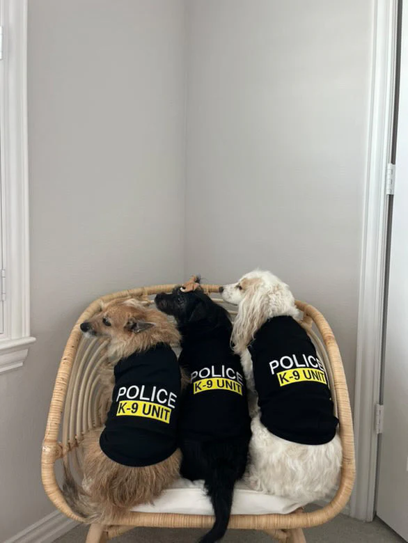 Parisian Pet 'Police' K-9 Unit Dog Outfit – Comfortable Uniform for Small Dogs & Cats, Black - Image 4