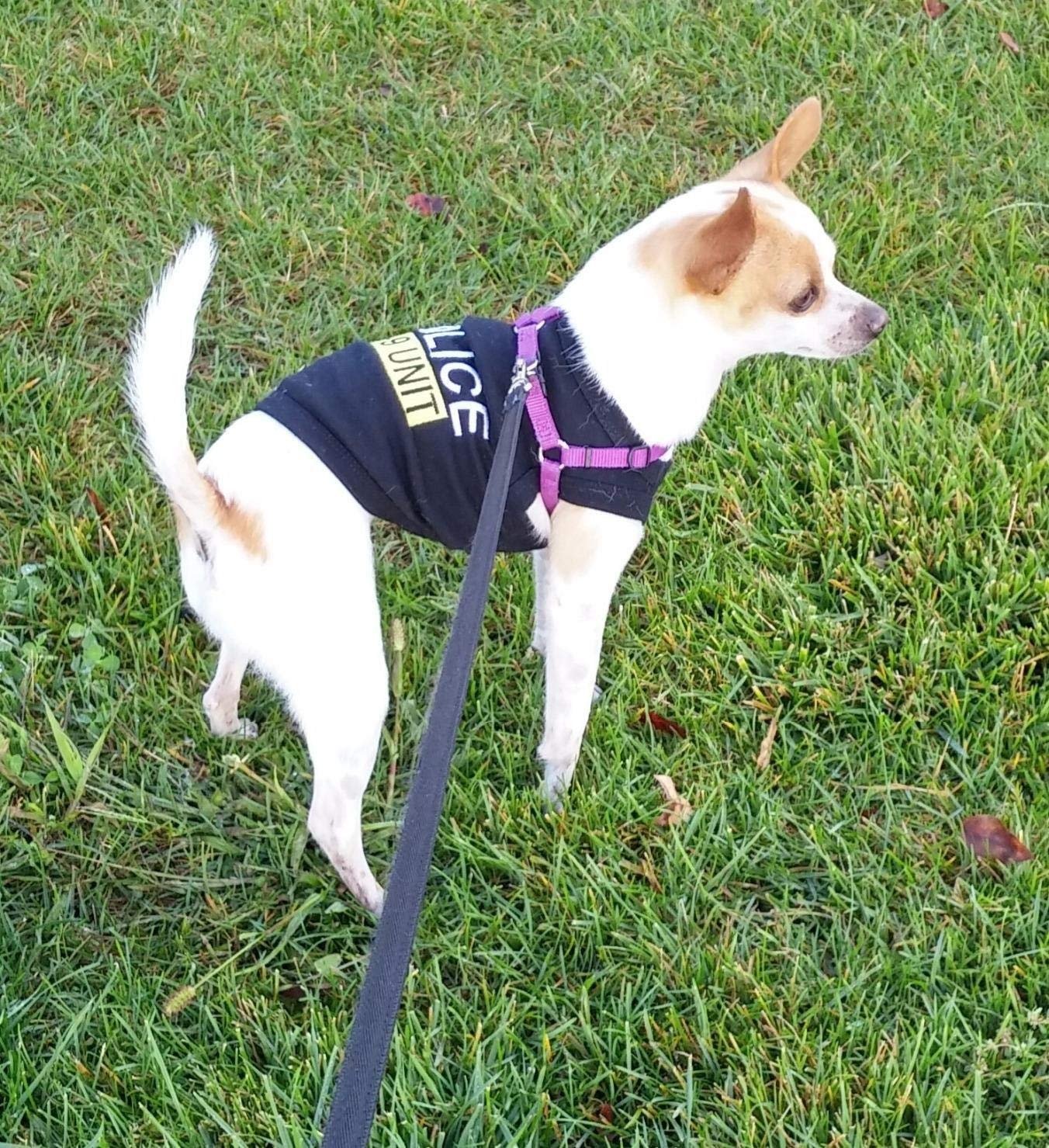 Parisian Pet 'Police' K-9 Unit Dog Outfit – Comfortable Uniform for Small Dogs & Cats, Black - Image 5