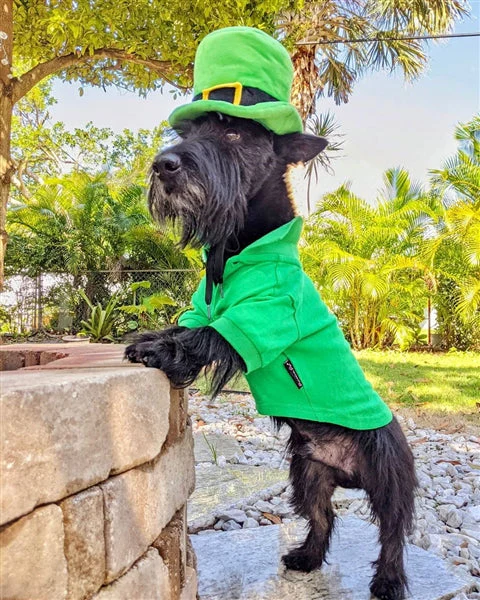 Parisian Pet 'Polo' Dog & Cat Shirt – Comfortable Embroidered Cotton, Trendy Summer Apparel-Saint Patrick's Day - Image 4