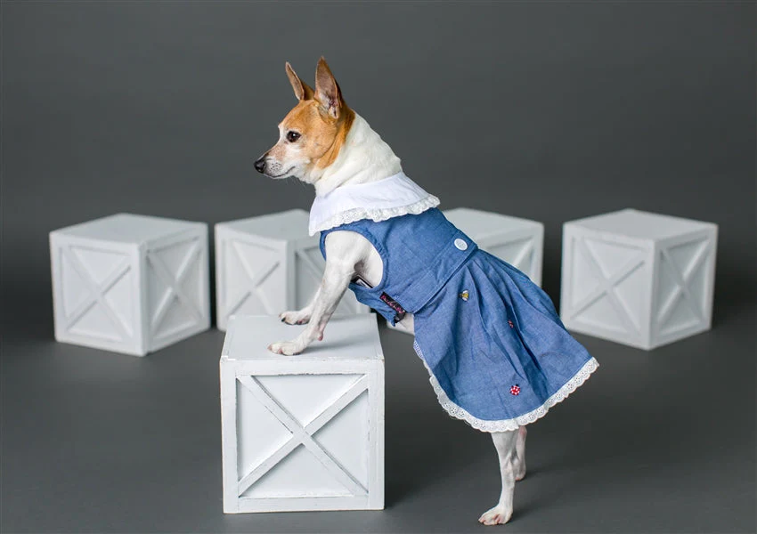 Parisian Pet 'Prairie Dress' for Dogs and Cats, Floral Design, Comfortable Lightweight Outfit, Denim & White - Image 3