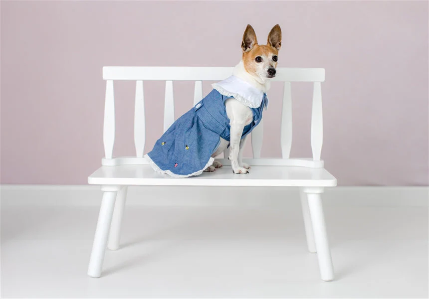 Parisian Pet 'Prairie Dress' for Dogs and Cats, Floral Design, Comfortable Lightweight Outfit, Denim & White - Image 4