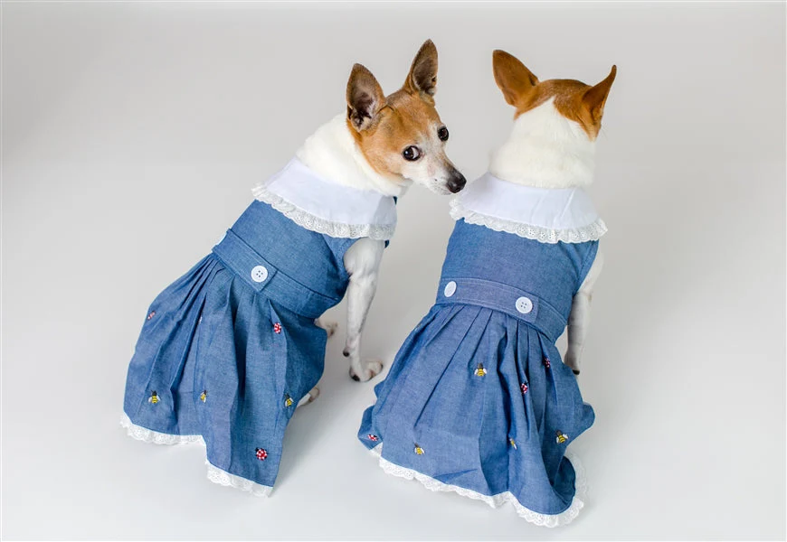 Parisian Pet 'Prairie Dress' for Dogs and Cats, Floral Design, Comfortable Lightweight Outfit, Denim & White - Image 6