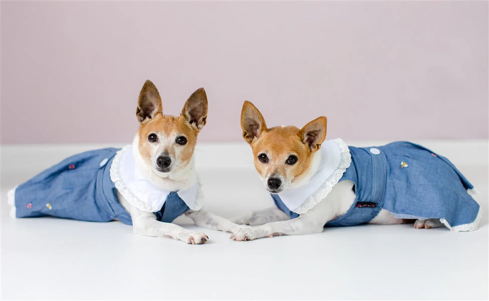 Parisian Pet 'Prairie Dress' for Dogs and Cats, Floral Design, Comfortable Lightweight Outfit, Denim & White - Image 7