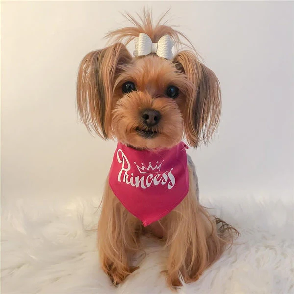 Parisian Pet 'Princess' Bandana for Dogs & Cats - Stylish, Trendy, Comfortable Pink Dog Bandana for Special Occasions - Image 2