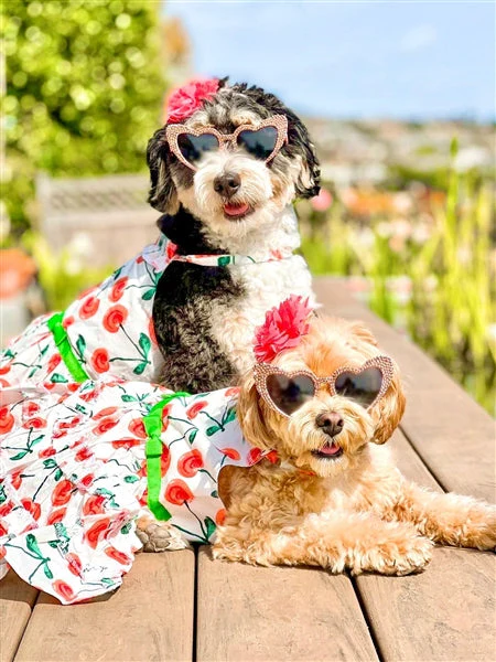 Parisian Pet 'Red Poppies Boho Dress' Dog & Cat T-shirt – Adjustable Floral Pet Dress, Perfect for Summer - Red, White, Green-Valentine's Day - Image 3