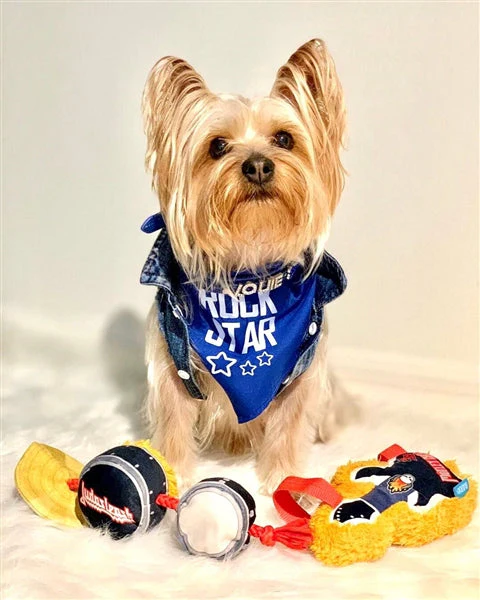 Parisian Pet 'Rock Star' Bandana for Dogs & Cats - Fashionable, Comfortable Blue Pet Bandana for Trendy Pets - Image 2