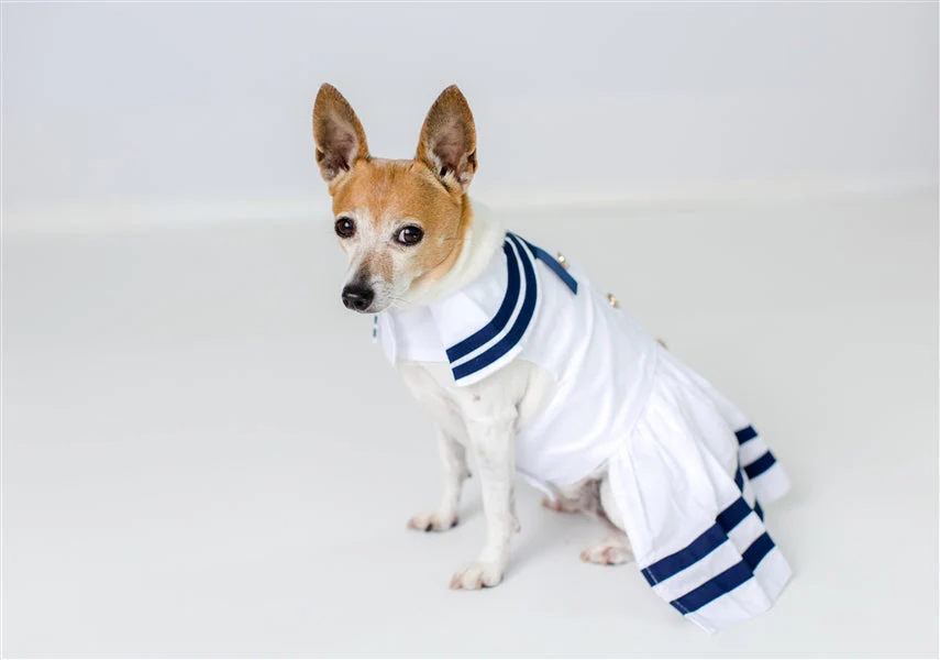 Parisian Pet 'Sailor Dress' Dog & Cat Shirt – Nautical Pet Apparel, Stylish & Comfortable – White & Blue - Image 3