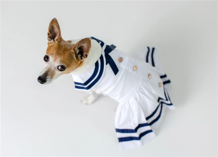 Parisian Pet 'Sailor Dress' Dog & Cat Shirt – Nautical Pet Apparel, Stylish & Comfortable – White & Blue - Image 4