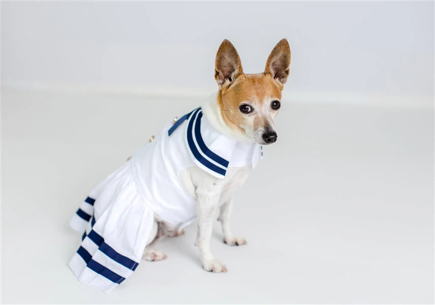Parisian Pet 'Sailor Dress' Dog & Cat Shirt – Nautical Pet Apparel, Stylish & Comfortable – White & Blue - Image 5