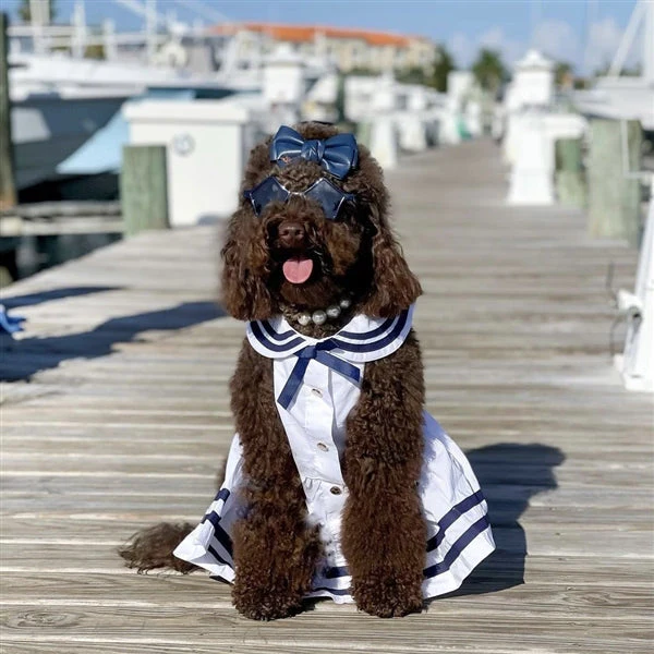 Parisian Pet 'Sailor Dress' Dog & Cat Shirt – Nautical Pet Apparel, Stylish & Comfortable – White & Blue - Image 6