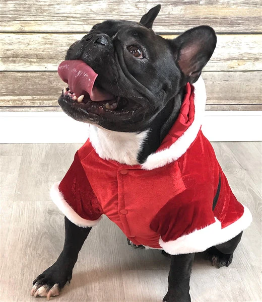 Parisian Pet 'Santa Claus Hoodie' for Dogs and Cats, Dog Christmas Holiday Apparel, Red - Image 3