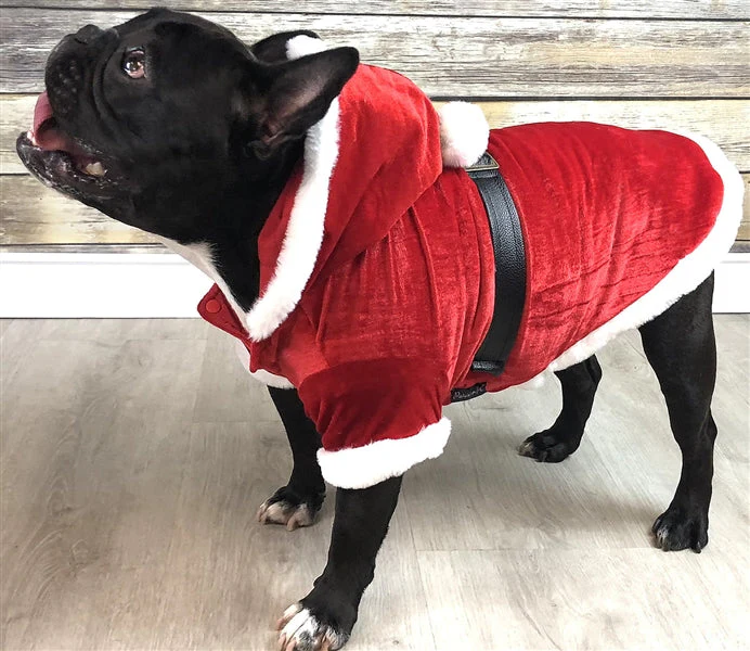 Parisian Pet 'Santa Claus Hoodie' for Dogs and Cats, Dog Christmas Holiday Apparel, Red - Image 4
