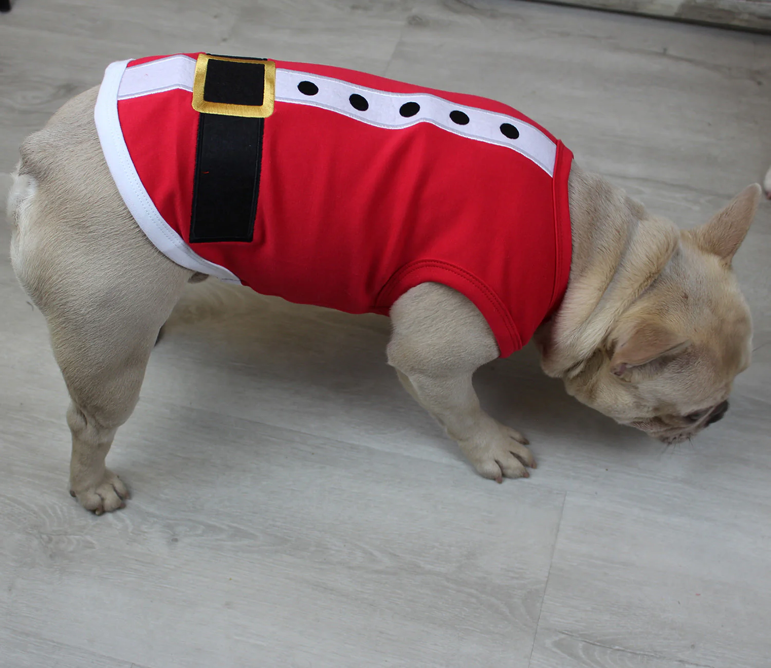 Parisian Pet 'Santa'Dog Shirt - Christmas Pet Apparel for Holiday Cheer, Red - Image 4