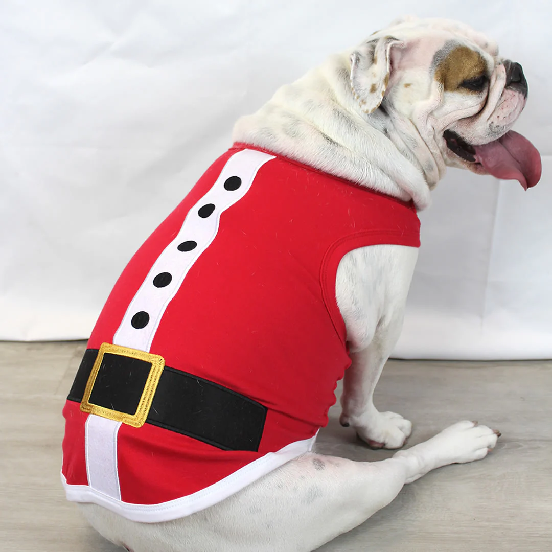 Parisian Pet 'Santa'Dog Shirt - Christmas Pet Apparel for Holiday Cheer, Red - Image 5