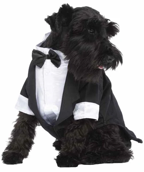 Parisian Pet 'Satin Party Tux' for Dogs and Cats, Designer Holiday Pet Tuxedo, Satin Formal Wear, Black & White-Valentine's Day - Image 3