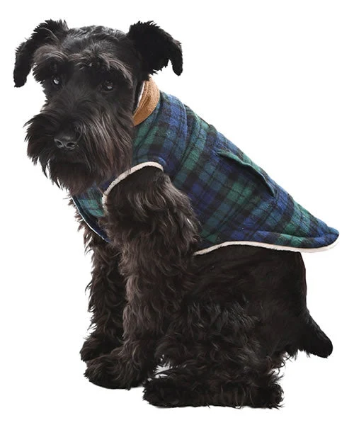 Parisian Pet 'Scottish Jacket' for Dogs & Cats, Designer Pet Jacket, Holiday & Christmas Wear-Saint Patrick's Day - Image 3