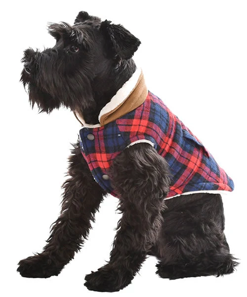 Parisian Pet 'Scottish Jacket' for Dogs & Cats, Plaid Pet Jacket, Formal Wear, Holiday Pet Jacket, Red/Blue Plaid - Image 3