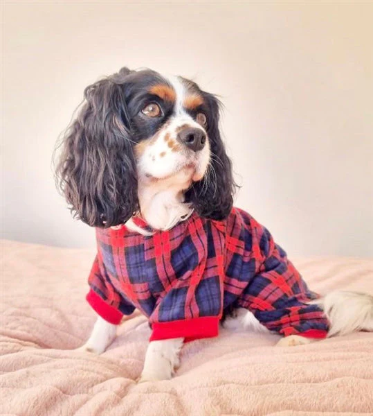 Parisian Pet 'Scottish Pajama' for Dogs & Cats, Cozy Pet Pajama Set, Red/Blue Plaid - Image 4