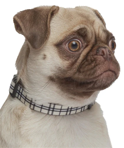 Parisian Pet 'Scottish Plaid' Collar, for Dogs & Cats, Adjustable Pet Collar, Stylish Plaid Dog Collar Khaki - Image 4