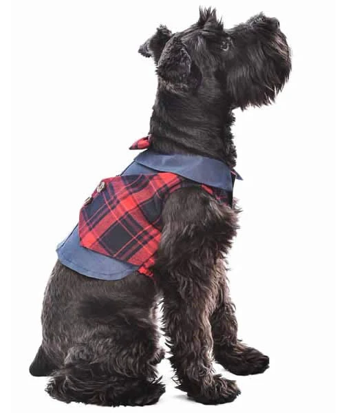 Parisian Pet 'Scottish Pleated Tuxedo Red/Blue Plaid' for Dogs & Cats, Stylish Pet Party Tuxedo, Christmas Pet Tuxedo - Image 3