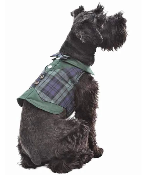 Parisian Pet 'Scottish Taffeta Tuxedo' for Dogs and Cats, Designer Formal Wear, Saint Patrick's Day - Image 3