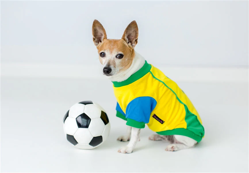 Parisian Pet 'Team Brazil' Dog & Cat Shirt – Embroidered Soccer Jersey, Comfortable & Stylish – Yellow Green - Image 5