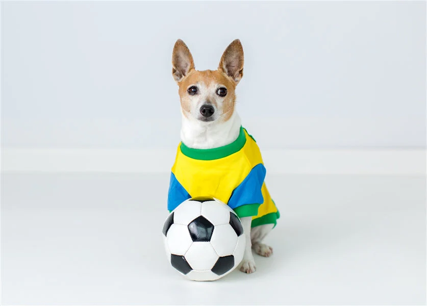 Parisian Pet 'Team Brazil' Dog & Cat Shirt – Embroidered Soccer Jersey, Comfortable & Stylish – Yellow Green - Image 9