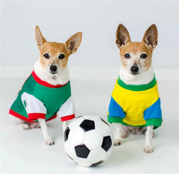 Parisian Pet 'Team Mexico' Dog & Cat T-Shirt – Patriotic Dog Shirt, Perfect for Soccer Fans – Red, White, Green - Image 4